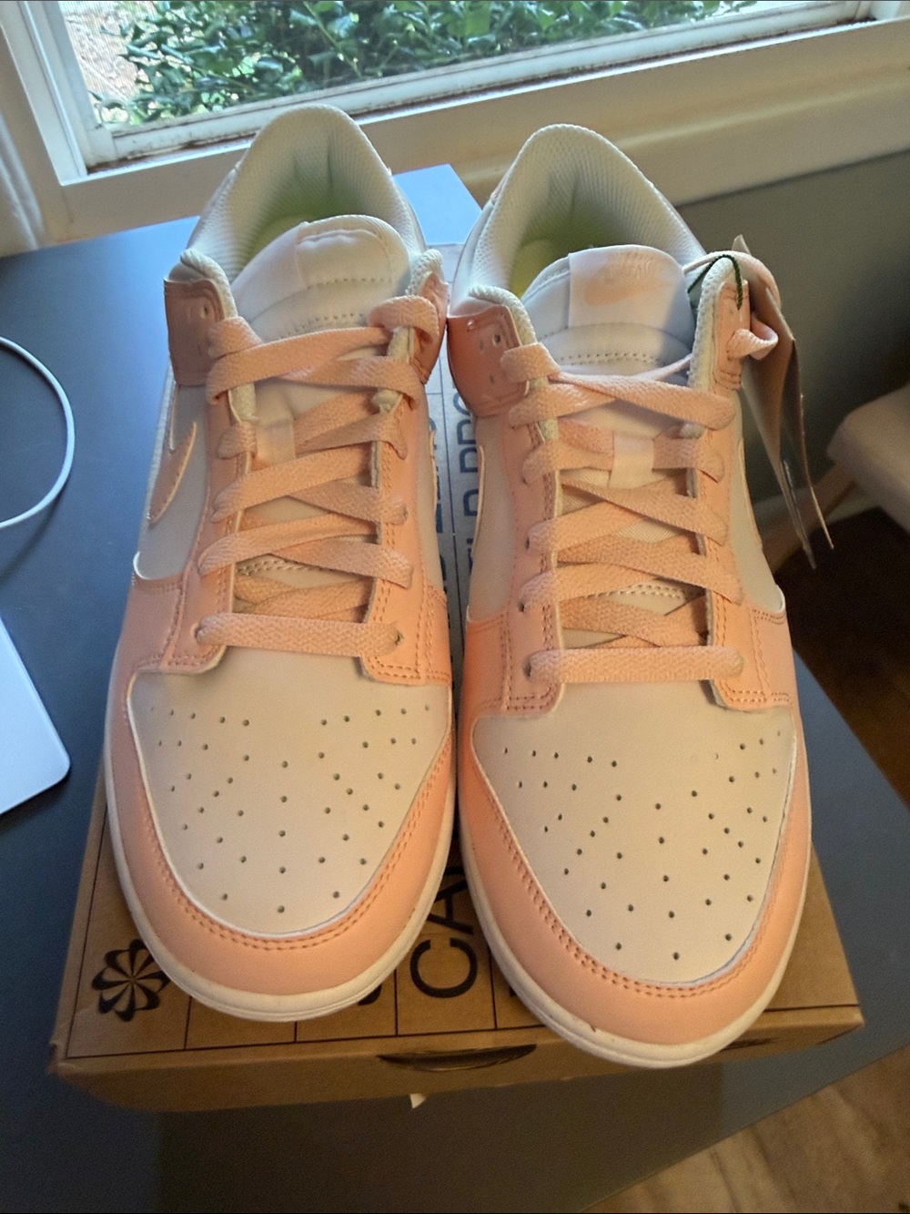 Women’s Nike Dunk Low in Peach and White – Comfortable Everyday Shoes